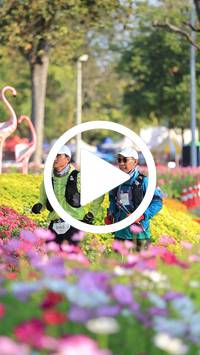 BIB:  <button type="button" onclick="openModal(27583589)" class="btn btn-primary btn-sm float-right" data-toggle="modal" data-target=".modal-high-quality">
                <i class="fa fa-download"></i> Download
                </button>